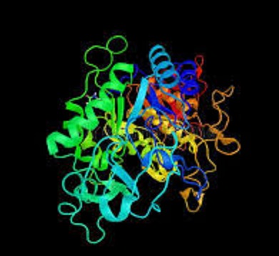مقمه ای بر پزشکی سلولی مولکولی